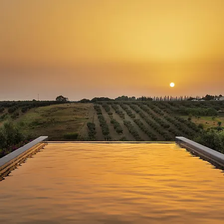 Momentum Wellness Bio Resort-2